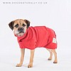 Red Dog Towel Coat Border Terrier